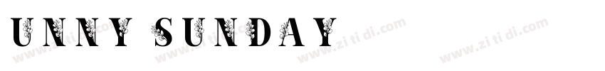 unny Sunday字体转换